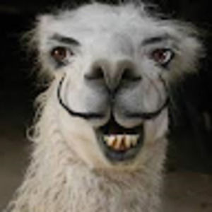 Meet your Posher, Alfonso